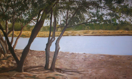 Paisajes Chaqueños