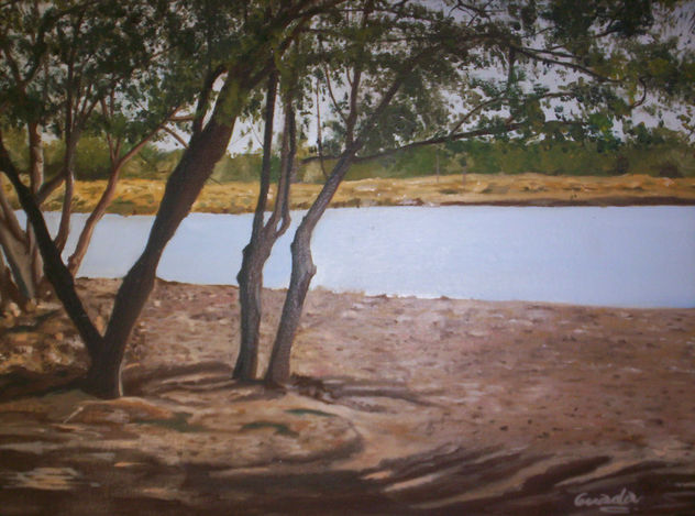 paisaje chaqueño