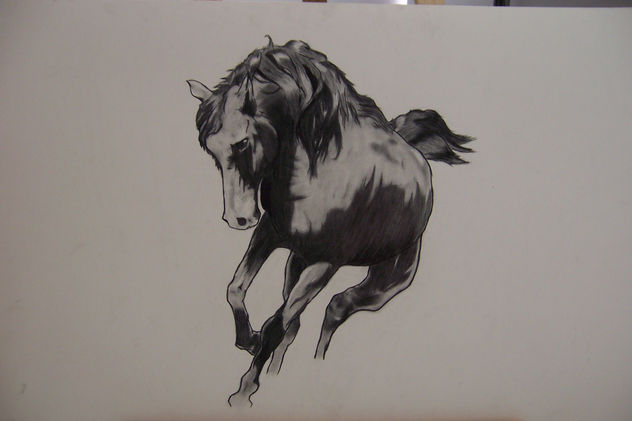 caballo ballo