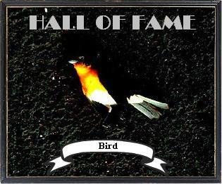 Bird