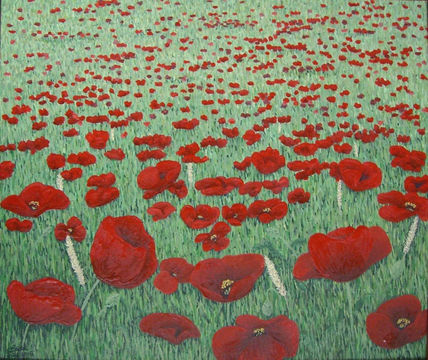 Amapolas