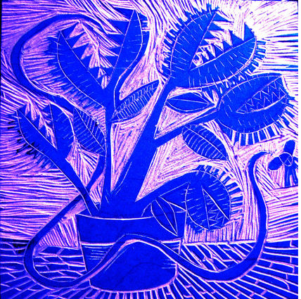 PLANTA CARNIVORA...