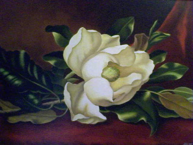 Magnolia 