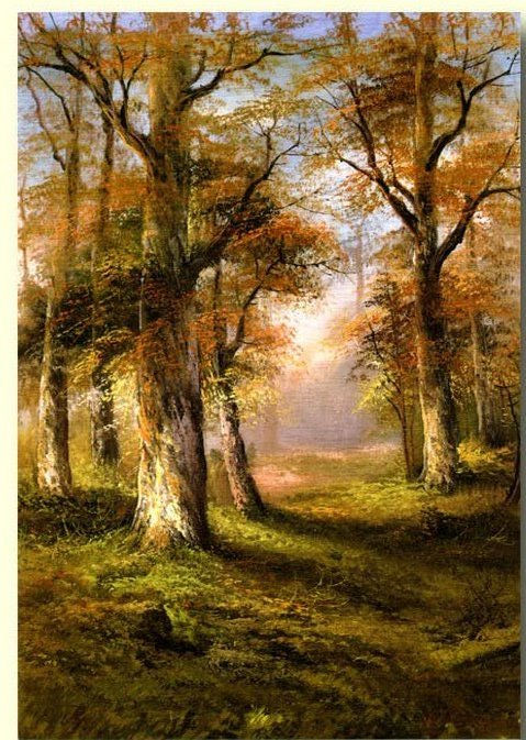 BOSQUE OTOÑAL