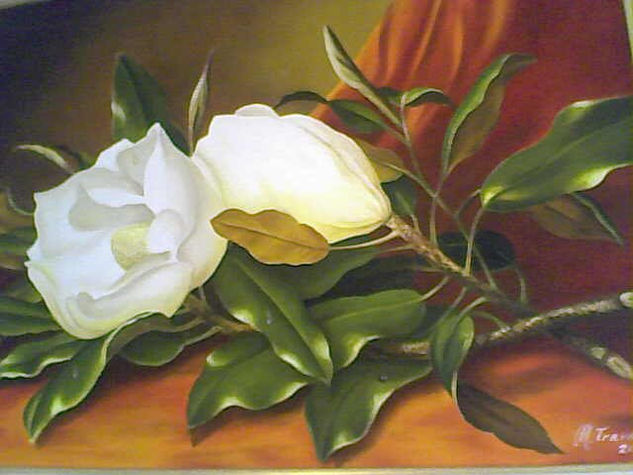 magnolia 2 