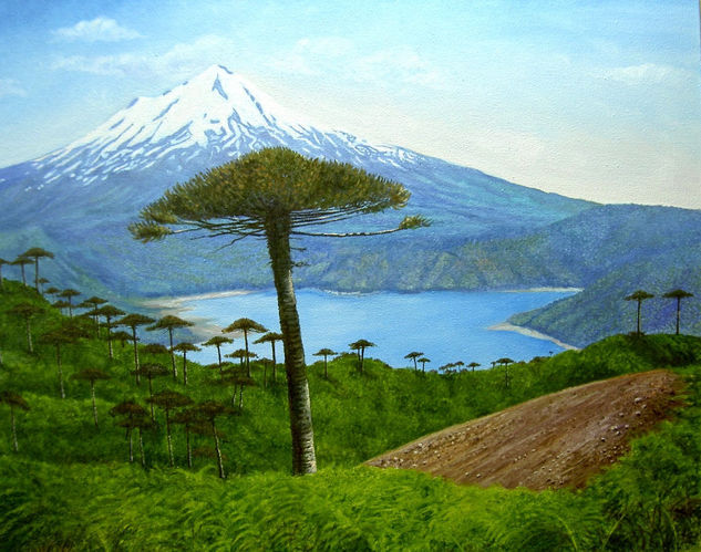 VOLCAN LLAIMA Oil Canvas Landscaping