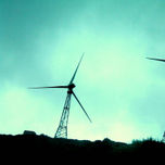 EXPOSICION MOLINOS DE VIENTO thumbnail 1