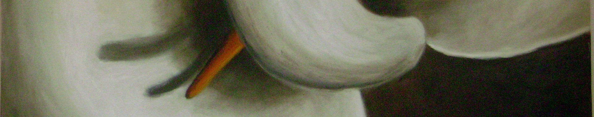Imagen de portada