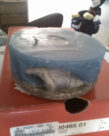 Fondo marino