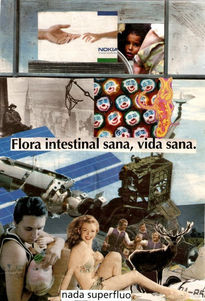 Flora intestinal...