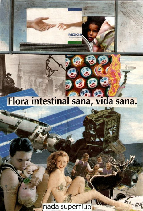 Flora intestinal...