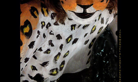 LEOPARDO
