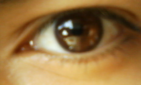 MIS OJOS 2008