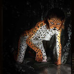 LEOPARDO thumbnail 2