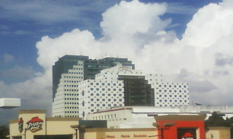 AMBIENTE 2008