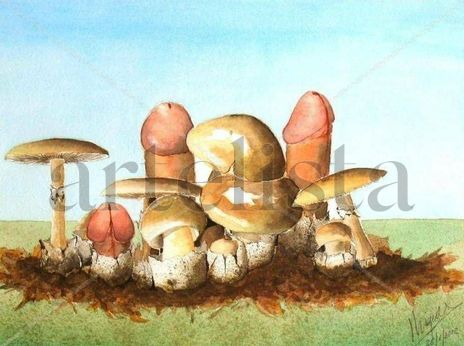 Amanita Faloide