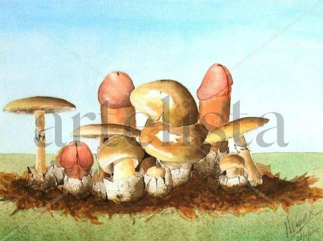 Amanita Faloide Acuarela Papel Otros