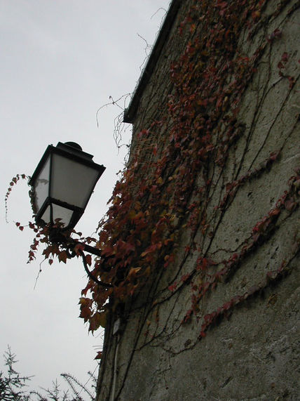 El  farol
