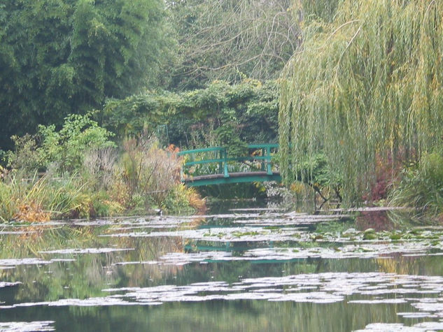 lago del  jardin  de monet Deportiva Color (Digital)