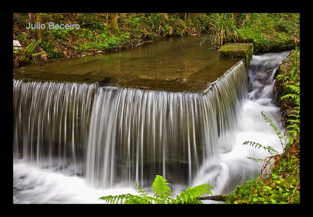 Salto de agua Nature Color (Digital)