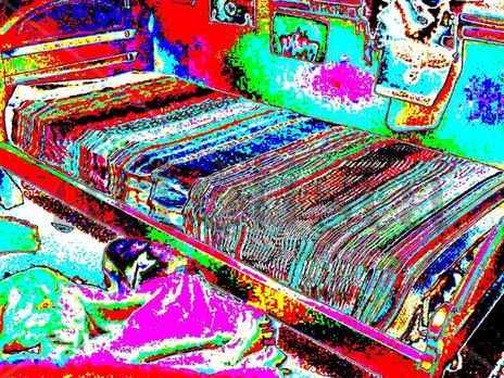Cama
