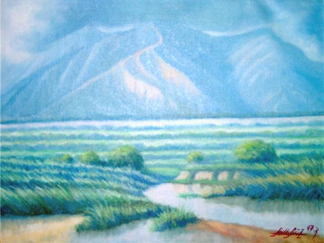 PAISAJE YARACUYANO EN NIEBLA ( ESTADO PORTUGUESA ) Oil Canvas Landscaping