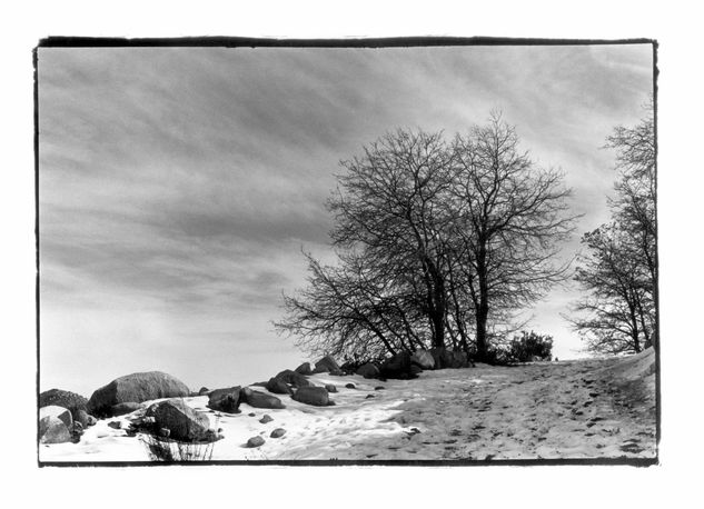 Invierno en El Roble 