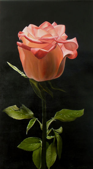 rosa Oil Canvas Floral Painting