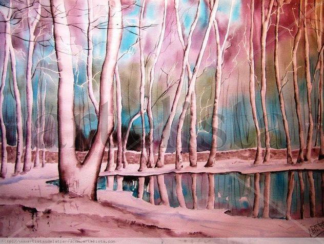 BOSQUE ENCANTADO
