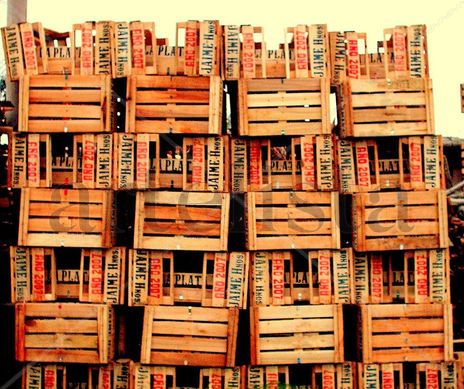 Biblioteca