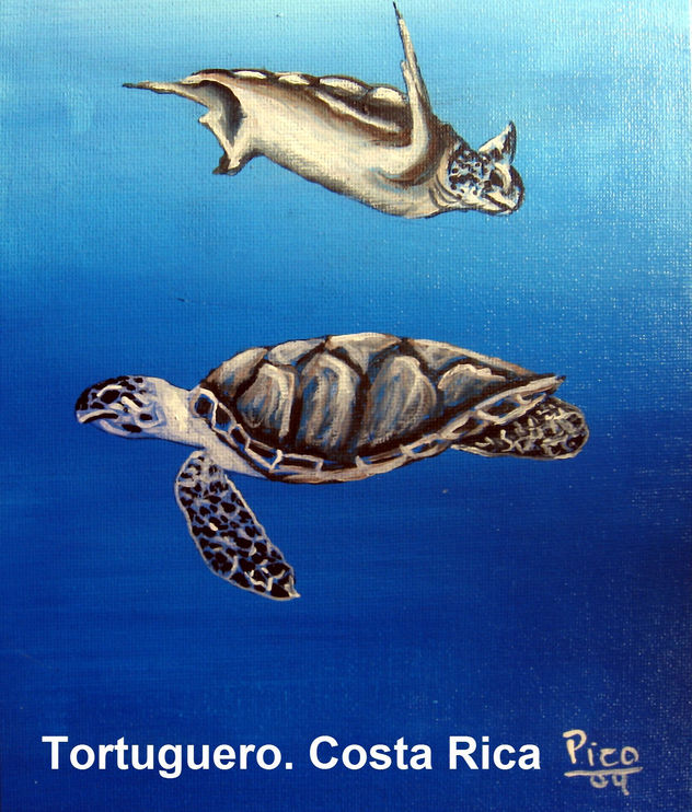 TORTUGUERO