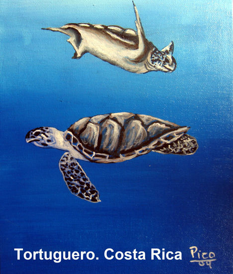 TORTUGUERO 