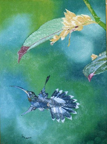 colibrì