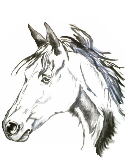 Caballo