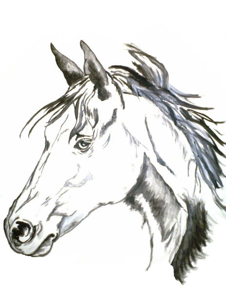 Caballo