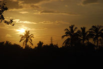 Atardecer llanero