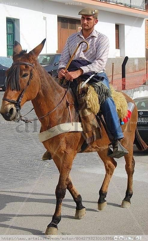 XIII Feria de la Mula en Arenas