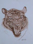 cabeza de tigre 1