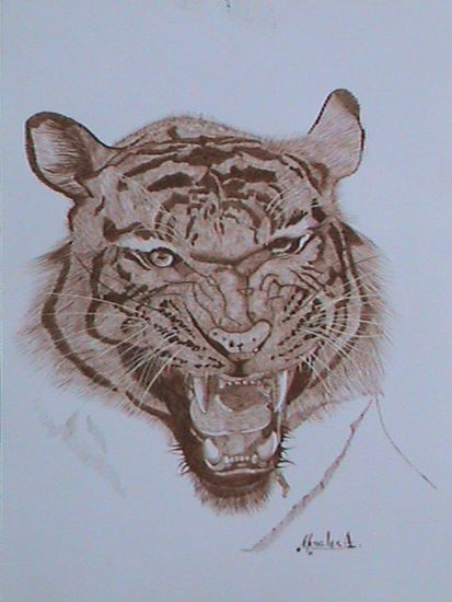 cabeza de tigre 1 Tinta