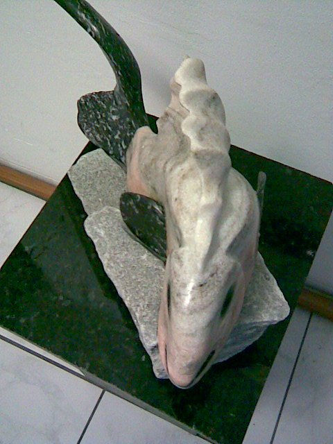 fish