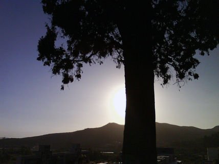 Union de almas