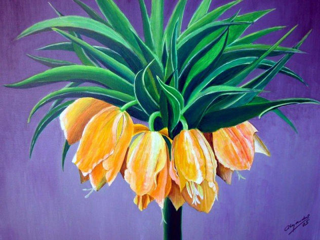 Tulipanes