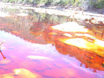 Rio tinto  2008