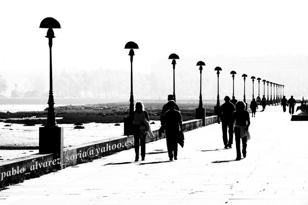 PASEO CON FAROLAS 