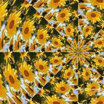"Gira mundo gira sol" thumbnail 1