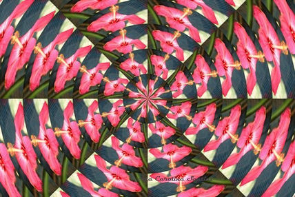 Mandalas vintage