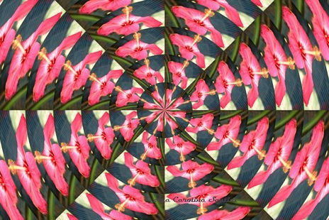 Mandalas vintage
