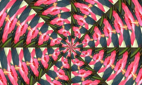 mandalas vintage