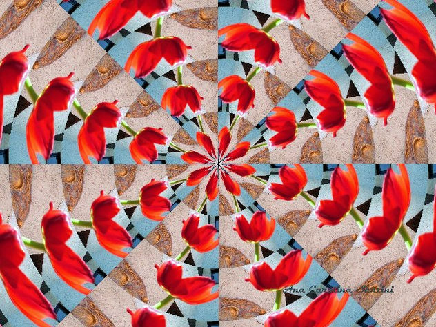 tulipanes pop