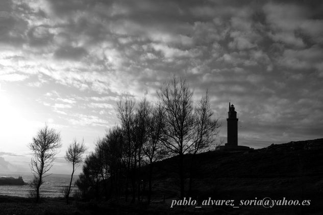 TORRE DE HERCULES CON ARBOLES 